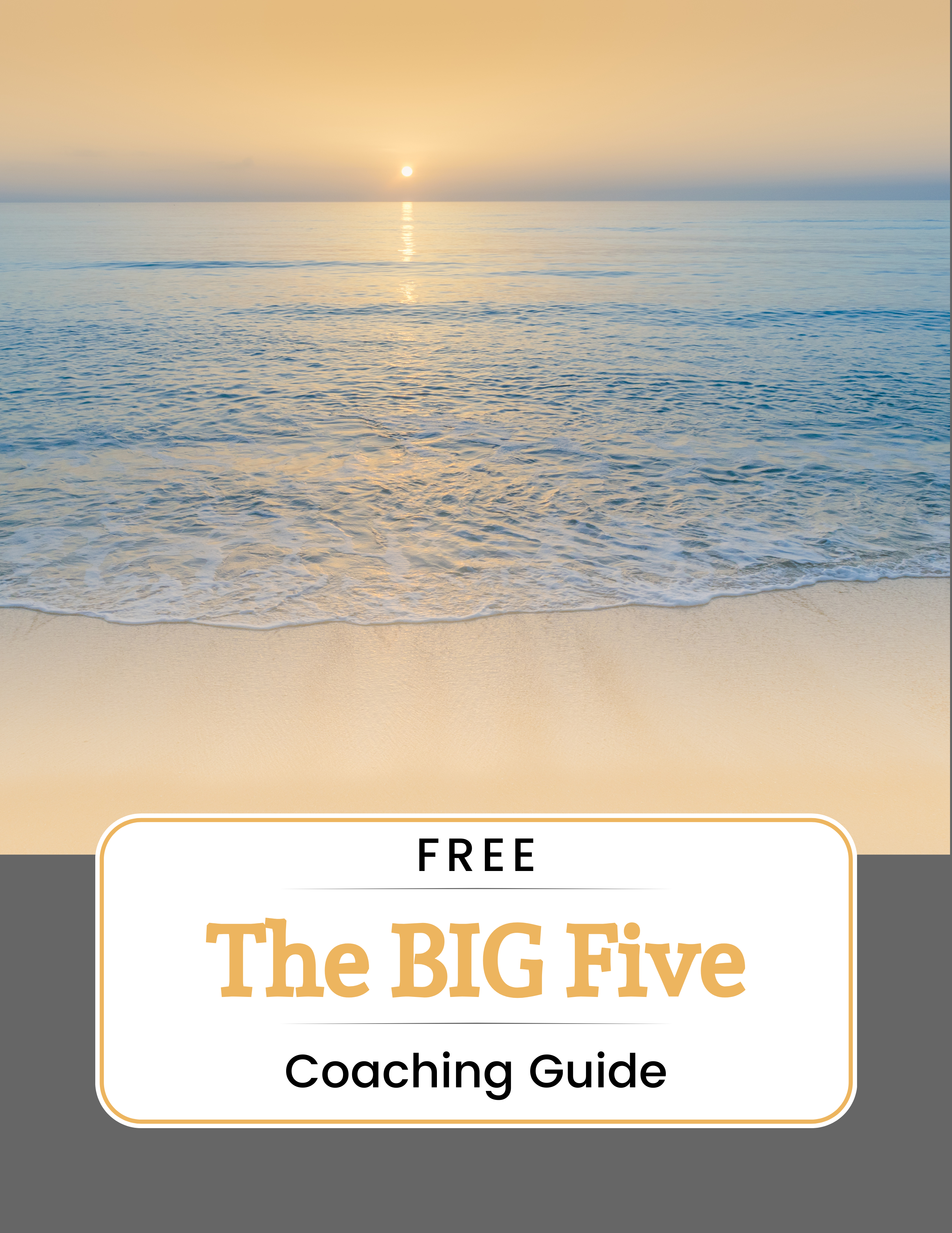 The No Knockouts BIG Five Coaching Guide cover art The No Knockouts BIG Five Coaching Guide cover art